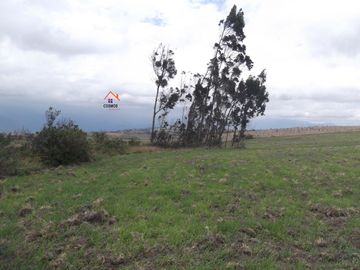 Venta de terreno en Carchi cantón Bolívar parroquia García Moreno
