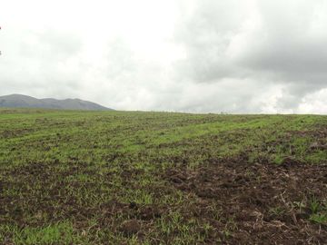 Venta de terreno en Carchi cantón Bolívar parroquia García Moreno