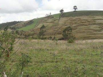 Venta de terreno en Carchi cantón Bolívar parroquia García Moreno