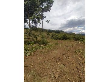 VENTA DE LOTE A 35 MINUTOS DE CALI ID 613