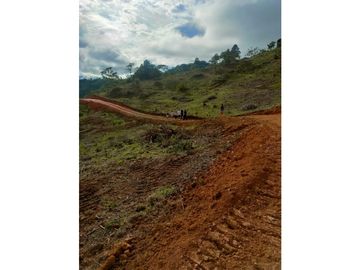VENTA DE LOTE A 35 MINUTOS DE CALI ID 613