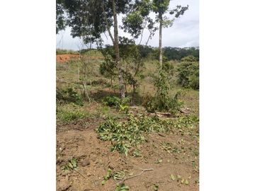 VENTA DE LOTE A 35 MINUTOS DE CALI ID 613