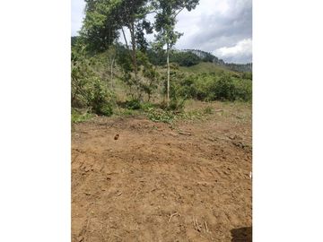 VENTA DE LOTE A 35 MINUTOS DE CALI ID 613