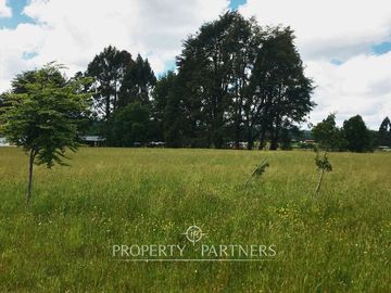 Sitio a 12 km de Panguipulli, sector Panguilelfún.