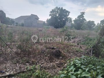 CEPAT & MURAH TANAH DI SABAH BALAU SANGAT COCOK UNTUK CUSTER