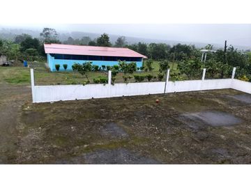 Se Vende Finca Productora de CACAO. PLATANO Y Madera