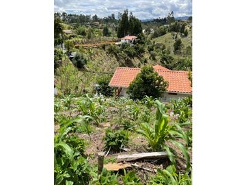 Venta FINCA  AUTOSOSTENIBLE, Rionegro, Vereda MaMpuesto
