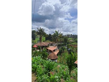 Venta FINCA  AUTOSOSTENIBLE, Rionegro, Vereda MaMpuesto