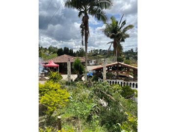 Venta FINCA  AUTOSOSTENIBLE, Rionegro, Vereda MaMpuesto