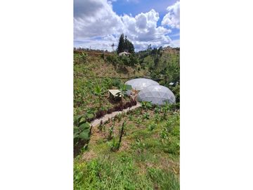 Venta FINCA  AUTOSOSTENIBLE, Rionegro, Vereda MaMpuesto