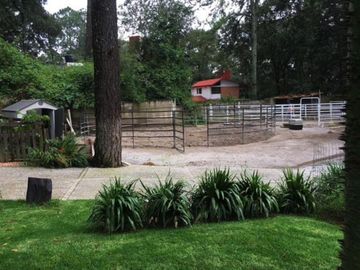 Rancho ecuestre en medio del bosque en Huitzilac, Morelos