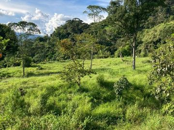 Te vendo este hermoso terreno planito y bien barato a 20 minutos de  Barbosa.