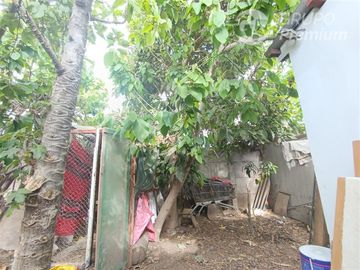 Vive en Compañía Alta Casa Sólida y Espaciosa