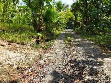 Rumah Lingkungan Sangat asri, tenang dan nyaman bebas polusi sejuk