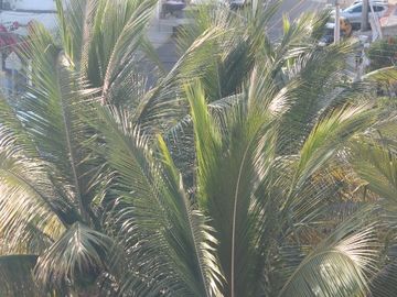 Reduced $15,000 Se vende lindo departamento el edificio Marina