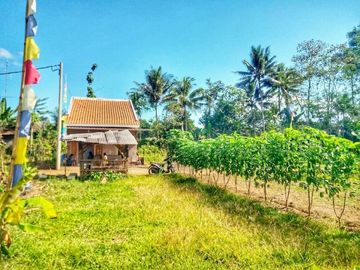 Tanah Kavling Dekat Kampus area Kepanjen