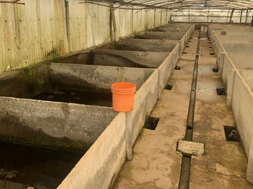 Campo en venta en Cañuelas