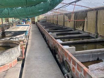 Campo en venta en Cañuelas