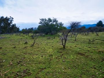 Cauquenes, campo de rulo, ideal para viñas