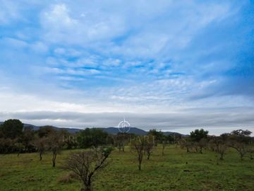 Cauquenes, campo de rulo, ideal para viñas
