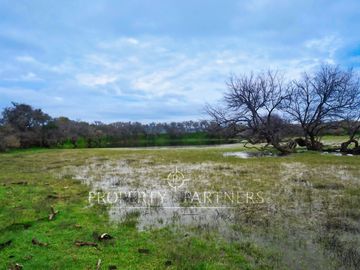 Cauquenes, campo de rulo, ideal para viñas