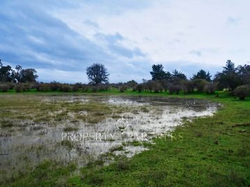 Cauquenes, campo de rulo, ideal para viñas