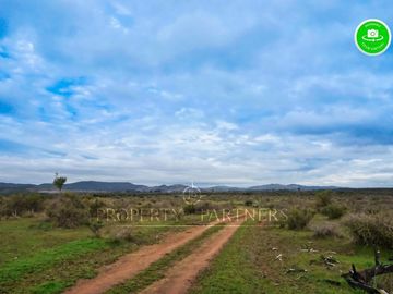 Cauquenes, campo de rulo, ideal para viñas