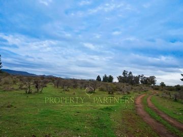 Cauquenes, campo de rulo, ideal para viñas