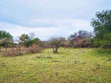Cauquenes, campo de rulo, ideal para viñas