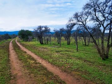 Cauquenes, campo de rulo, ideal para viñas