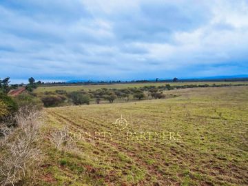 Cauquenes, campo de rulo, ideal para viñas