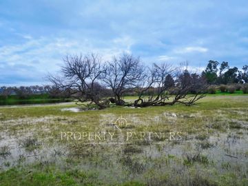 Cauquenes, campo de rulo, ideal para viñas