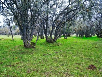 Cauquenes, campo de rulo, ideal para viñas