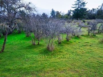 Cauquenes, campo de rulo, ideal para viñas
