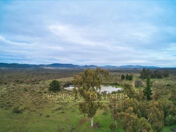 Cauquenes, campo de rulo, ideal para viñas