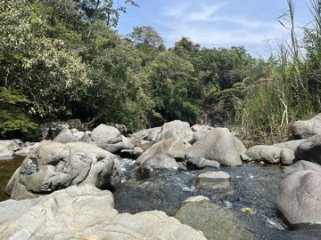finca en venta en la buitrera. Cod V16610