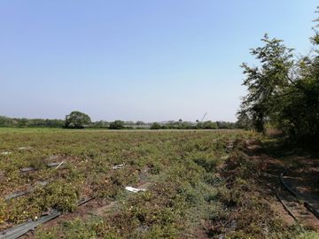 Rancho para ganadería, bodegas, desarrollos, agricultura, VENTA EN EL PANDO VER