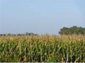 Campo Agricola en Concordia Entre Rios 170 hectareas