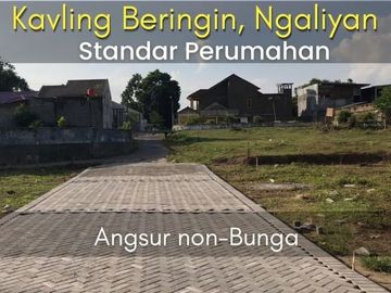 Tanah 1jt-an Ngaliyan, 10 menit Kampus UIN: Jalan Masuk 7mtr