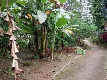 Tanah ngargoyoso dekat kemuning