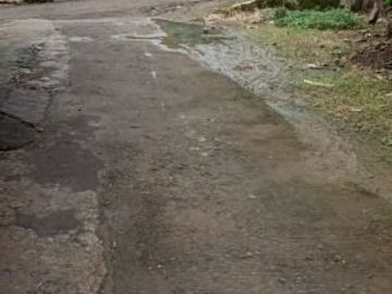 Tanah ngargoyoso dekat kemuning