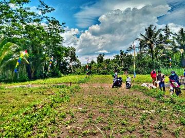 Jual Murah Tanah Kavling Lokasi di Desa Palaan - Ngajum