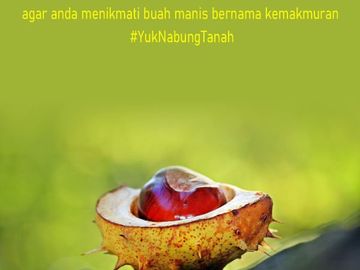 500 m Jalan Pasar Bumijawa Tegal : Mulai 30 Jt-an, SHM Darat