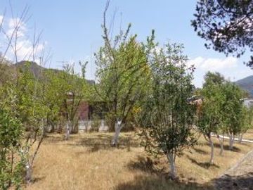 Quintas Venta Villa de Allende Zona Valle de Bravo 08-QV-544