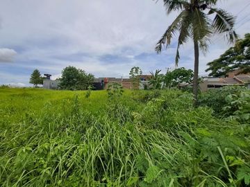 Tanah jual cepat hook pinggir jalan Cilegon Banten