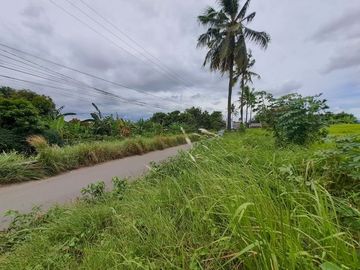 Tanah jual cepat hook pinggir jalan Cilegon Banten