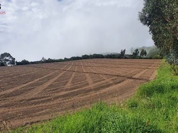 Venta de terreno en Urcuqui sector Pablo Arenas