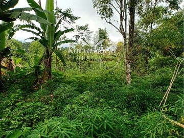 Tanah Cocok Dibangun Villa Kemuning Ngargoyoso