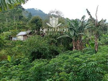 Tanah Cocok Dibangun Villa Kemuning Ngargoyoso