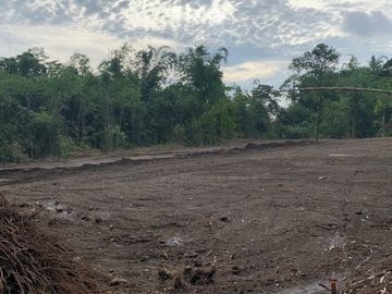 Cocok Untuk Villa, Kavling Kaliurang, Bisa Angsur 12X Tanpa Bunga